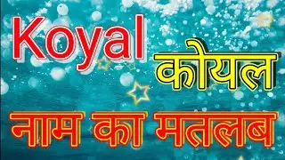 koyal naam ka matlab kya hota hai / koyal naam ka arth Kya hota hai / koyal naam ka matlab