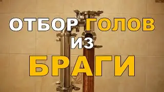 Отбор голов из БРАГИ. Брага на Саф Левюр. ГХ анализы спирта-сырца.