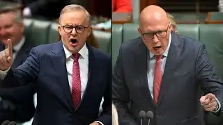 How Prime Minister Anthony Albanese is destroying the Labor Party