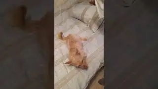 Ольга Тимкина из Тюмени и журнал «Ура Бум-Бум!»