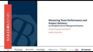 Mastering Team Performance and Project Delivery