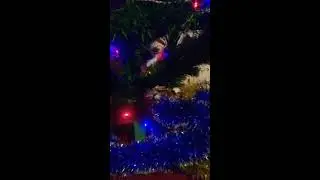 Украшаю ёлку🎄