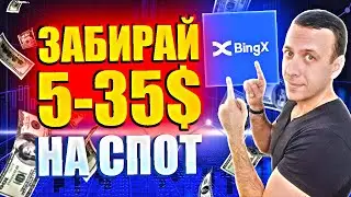 Как получить 5-35$ на спот от биржи BingX без верификации. Лёгкий заработок в интернете 2024