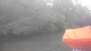WATCH IN HD-andaman and nicobar islands- drive in mangrove jungle