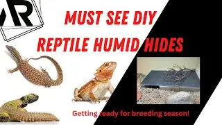 Reptile Humid Hides!