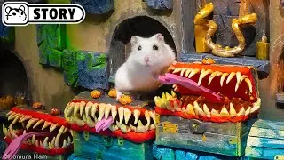 ⚔️ Hamster in the Dungeons & Dragons Maze - Lost Treasures ⚔️ Homura Ham