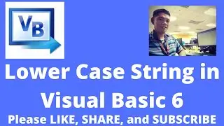 Lower Case a String in Visual Basic 6
