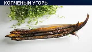КАК ПРИГОТОВИТЬ КОПЧЕНОГО УГРЯ? Ароматный и очень вкусный копченый угорь в домашних условиях
