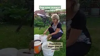 подкормка для огурцов, помидор и т д.