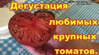 Дегустация самых любимых крупноплодных томатов