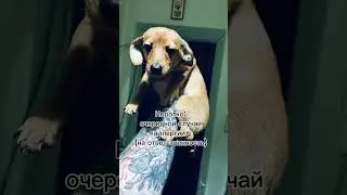 Спасти Каспера!!!