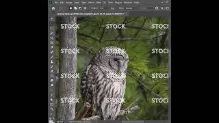 Remove Watermark in Photoshop! - Tutorial #shorts #photoshop#tutorial