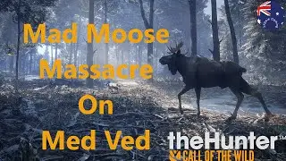 Mad Moments with Moose on Med Ved theHunter: Call of the Wild