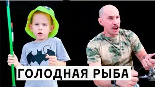 Рыбалка. Голодная рыба съела весь прикорм. 