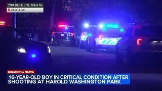 Teen boy critically injured in Hyde Park shooting