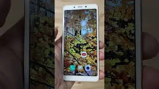 живые осенние обои Xiaomi