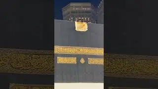 #makkahlivetoday #hafizinammakki #shorts