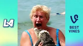 Crazy Funny Fails - Try Not To Laugh Funny Videos