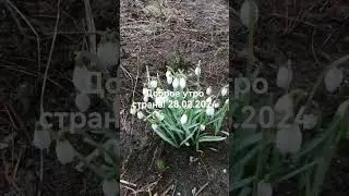 Калининградская область 