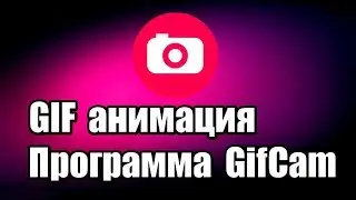 GIF анимация. Программа GifCam