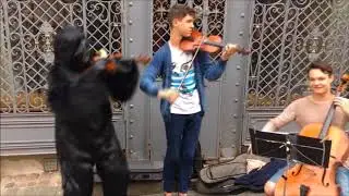Monkey prank Lithuania