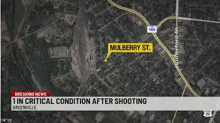 One teen killed, another hospitalized in Greenville shooting
