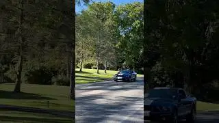Ford Mustang Shelby GT500 Driving By
