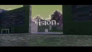 vision.