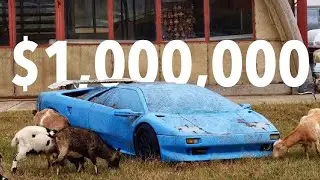 Crazy Expensive Abandoned Cars