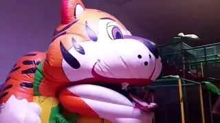 Tiger Noms (SACK)