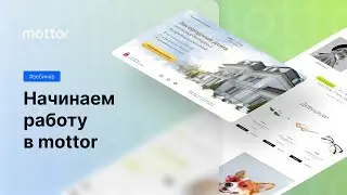 Начинаем работу в mottor 19.08.2021