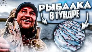 ЧУМОВАЯ РЫБАЛКА в ТУНДРЕ. Здесь упал Метеорит.