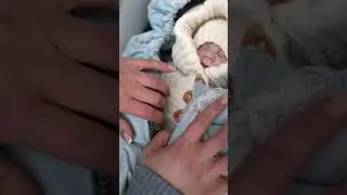 Конверт Mimibaby на выписки из роддома и прогулок