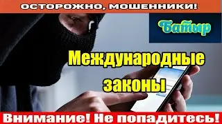 Звонят мошенники / Батыр отправил мошню в романтическое путешествие!