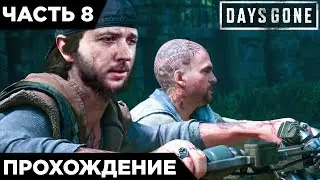 DAYS GONE - НОВАЯ СНАЙПЕРСКАЯ ВИНТОВКА! НЕИЗВЕСТНЫЙ ИНЦИДЕНТ | ПРОХОЖДЕНИЕ #8
