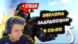 ЭВЕЛОНА ЗАДУДОСИЛИ В CS:GO | ЭВЕЛОН CS:GO