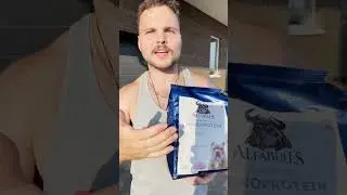 Обезумевшие собаки ждут лекарство, чтобы успокоиться 💊