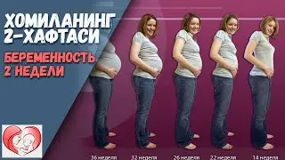 Хомиланинг 2-чи Хафтаси / Бересенность 2 недели / ONALAR MAKTABI 2021