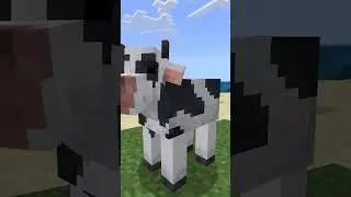 Коровы и Свиньи в 3D - Крутые текстуры для Майнрафт ПЕ