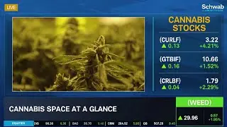 Making the Bullish Case for Cannabis