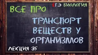 Л.35 | ТРАНСПОРТ ВЕЩЕСТВ У ОРГАНИЗМОВ | ОБЩАЯ БИОЛОГИЯ ЕГЭ