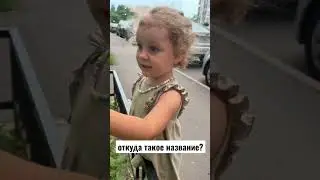 Агата эти цветы уже второй год называет именно так и именно с такой интонацией 😀🤷🏼‍♀️