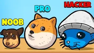 ÉVOLUTION DES CHATS MÈMES, NIVEAU MAXIMUM ! | Merge Fellas