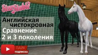 Сравнение английской чистокровной 2 и 3 поколения в Star Stable Online | новая и старая