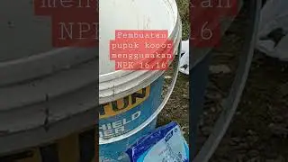 Cara membuat Pupuk Kocor menggunakan NPK 16.16 #pemupukancabe #farmer #shorts #pepayacalifornia