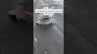 #буба #мем #буба #смешно
