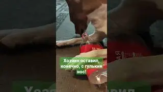 Обожает Колу, правда целую пока не открывала 