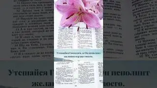 Наши желания важны для Бога💕Псалом 