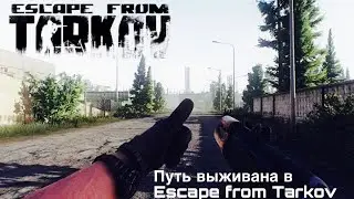 ТАРКОВ ГАЙД | TARKOV GUIDE | ESCAPE FROM TARKOV | Прогулка по Лесу поиск колонны