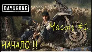 Начало ➣ Days Gone ➣ Прохождение #1